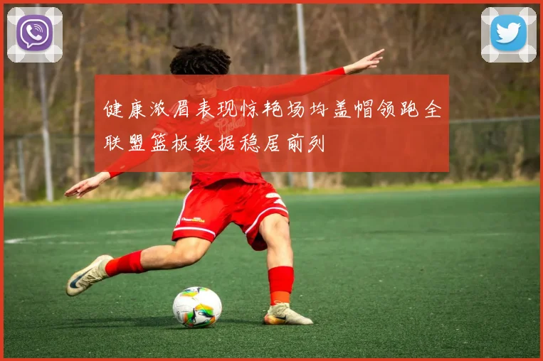 健康浓眉表现惊艳场均盖帽领跑全联盟篮板数据稳居前列